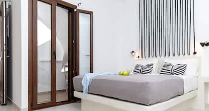 Naxos superior quadruple studio depis place