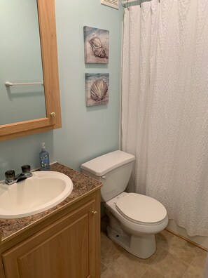 Combined shower/tub