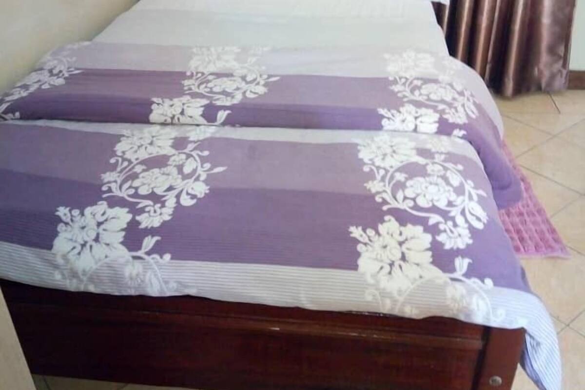 Appartement exécutif, 1 grand lit | 1 chambre, fer et planche à repasser, accès au Wi-Fi (inclus)