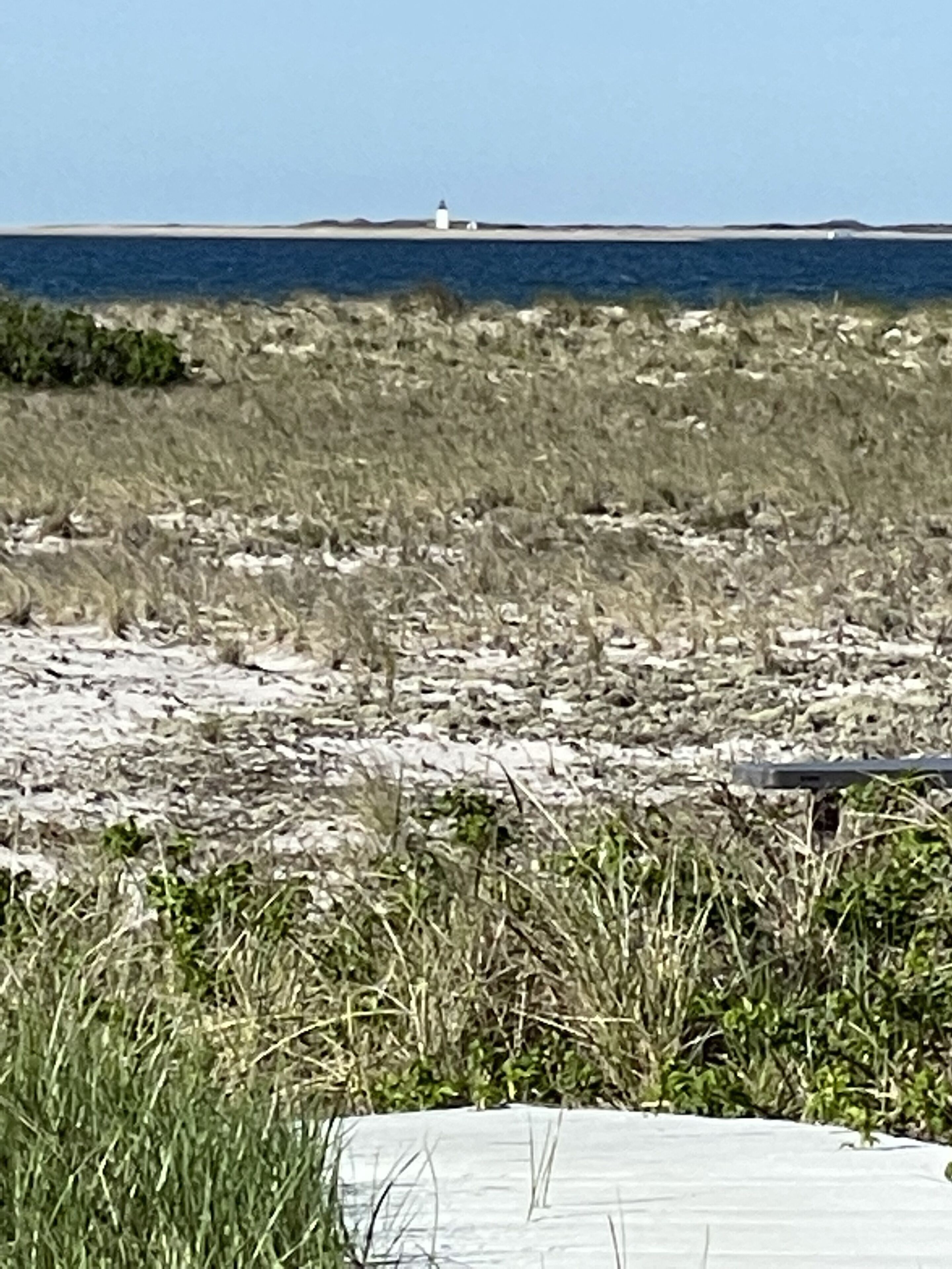 Un paysage côtier avec un phare à l’horizon, un terrain rocheux et une végétation clairsemée.