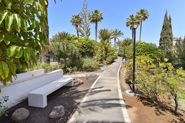A pathway lined with white benches, surrounded by various types of greenery including palm trees and shrubs. - Bungalow Sun Club OS55 by VillaGranCanaria (Playa del Ingles)