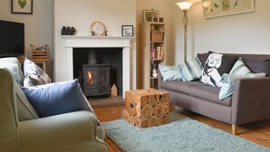 Una sala de estar acogedora con chimenea, un sofá, un televisor y una estantería.