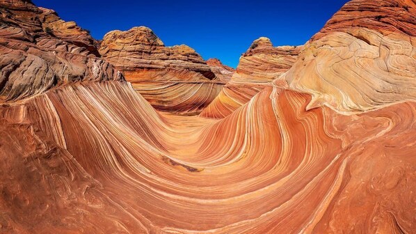 Unclassified image, 1 of 61, button