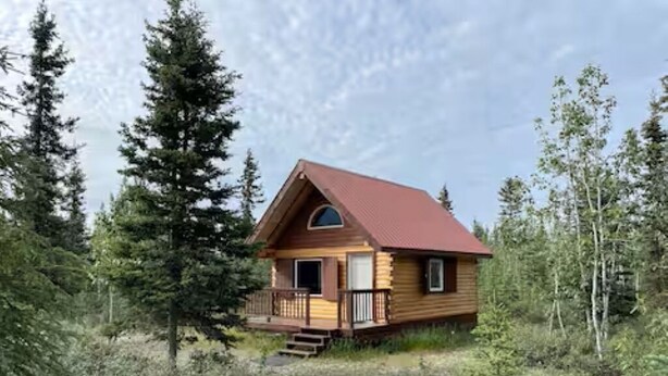 Een houten chalet met een rood dak, omgeven door een dicht bos.
