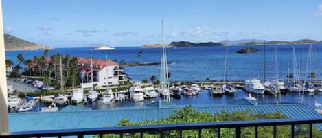 Condo panorámico, 1 cama King size y sofá cama, vista al mar | Vista desde la habitación