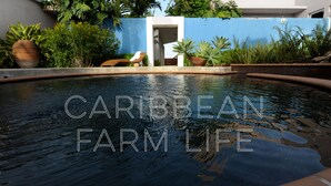 A pool area with a blue wall, potted plants, and a lounge chair. - Your home away from home on the Farm, 4 Casitas Bed n Breakfast - Casita 2 (Cabo Rojo)