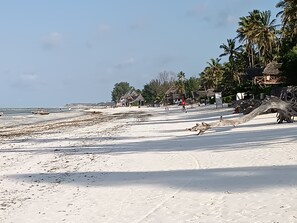 House, 3 Bedrooms, Accessible, Smoking | Beach
