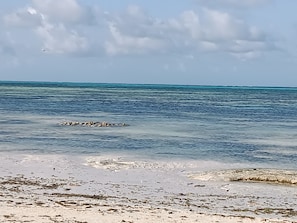 House, 3 Bedrooms, Accessible, Smoking | Beach