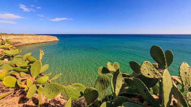 A coastal landscape with clear blue water and green cacti in the foreground. - Authentic Sicilian Charm With Pool, Sea View, Parking & Wifi (Avola)