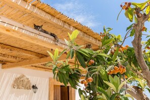 Villa, 3 Schlafzimmer, Raucher, eigener Pool | Unterkunftsgelände