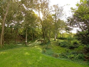 Escape to a serene woodland retreat surrounded by lush trees and a well-maintained path.