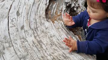 A child playing with a large, weathered log on a beach.