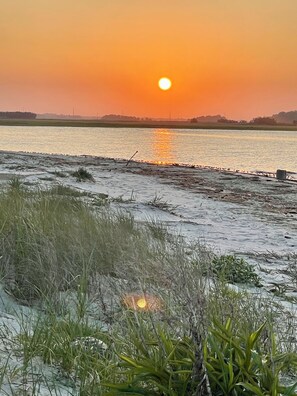 Playa en los alrededores y camastros 