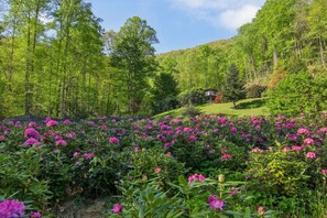 Surrounded by lush greenery and vibrant flowers, this serene retreat offers a peaceful escape.