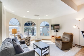 TV, DVD player, video library