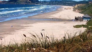 Uma praia com areal arenoso, dunas gramadas e alguns edifícios ao fundo.