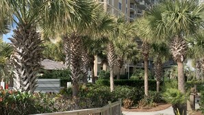 A landscaped area with palm trees and a wooden fence.