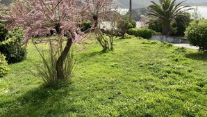 A grassy area with trees and a view of a body of water. - Stunning ocean views, Sunsets and just 30 seconds from the Beach! (GA)
