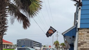 Gadesyn med et Harley-Davidson skilt, parkerede biler og et picnicbord.