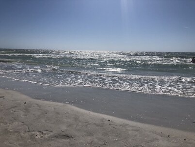 SUNNY DELIGHT! pets ok! UPDATED HEATED POOL VACATION CONDO.