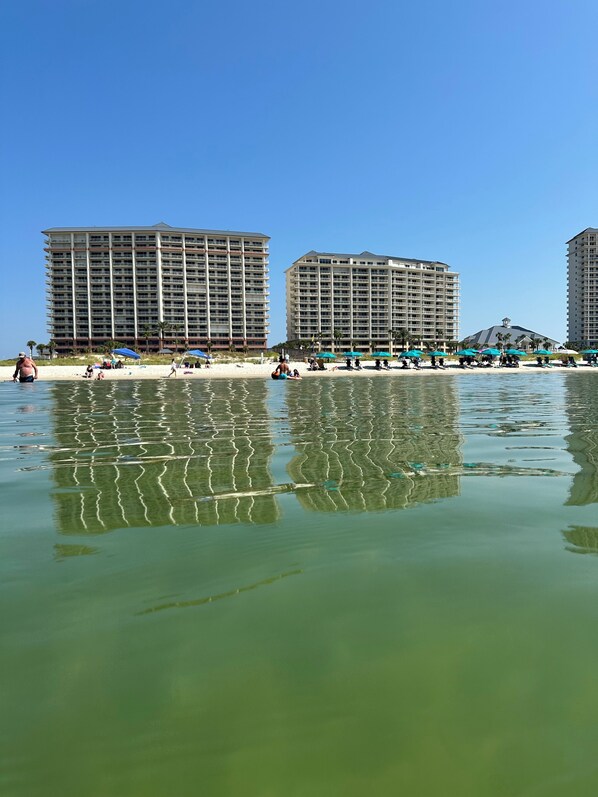 On the beach - BEACHFRONT CONDO IN THE CATALINA TOWER, BEACH CLUB, GULF SHORES!!!!! (Gulf Shores)