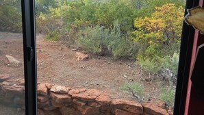 A view through a glass door of a natural landscape with red rock formations and green vegetation. - A COWBOYS CASA--BEST RED ROCK VIEWS IN SEDONA -WALK TO TLAQUEPAQUE & UPTOWN-- (Sedona)