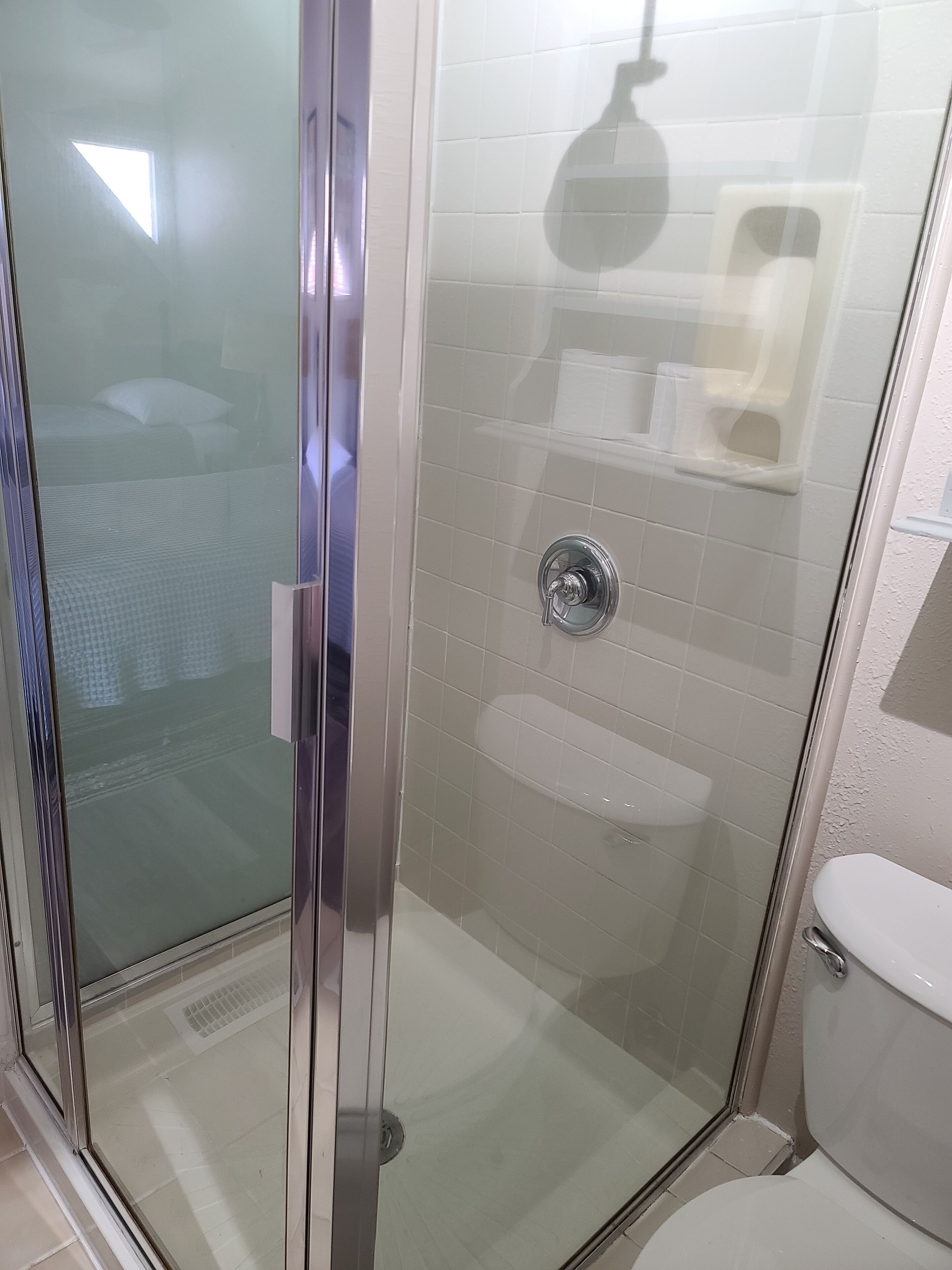 Een douche met glazen wand, een toilet en een wastafel.