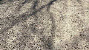 A gravel driveway leading to a garage with a covered parking area. - Cute, Convenient and Clean (Wautoma)