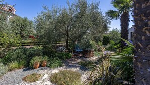 Ein Garten mit verschiedenen Pflanzen, einer Holzbank und einer Palme.
