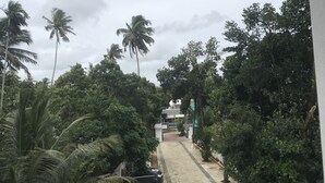Ein von Palmen und Grünpflanzen gesäumter Weg, der zu einem Gebäude mit weißer Fassade führt.