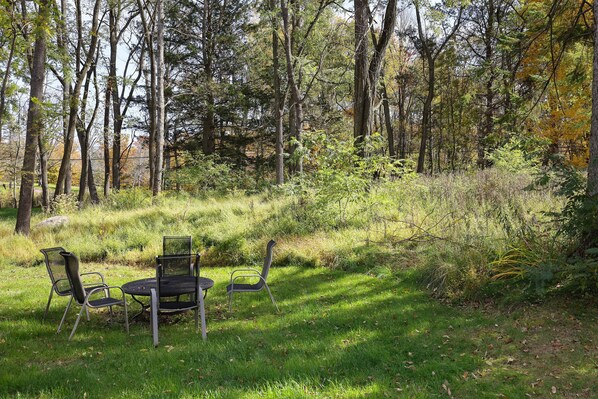 Sit and unwind in a serene natural setting surrounded by tall trees.