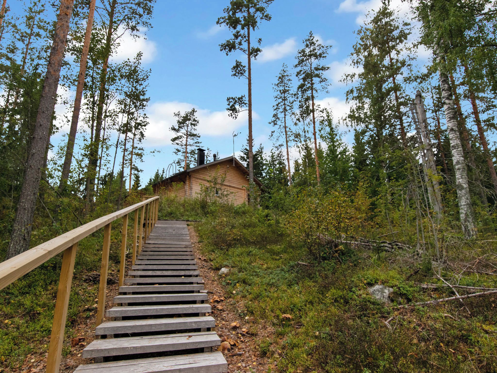 A wooden staircase leading to a cabin surrounded by a forest.
