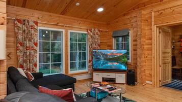 Televisión, reproductor de DVD