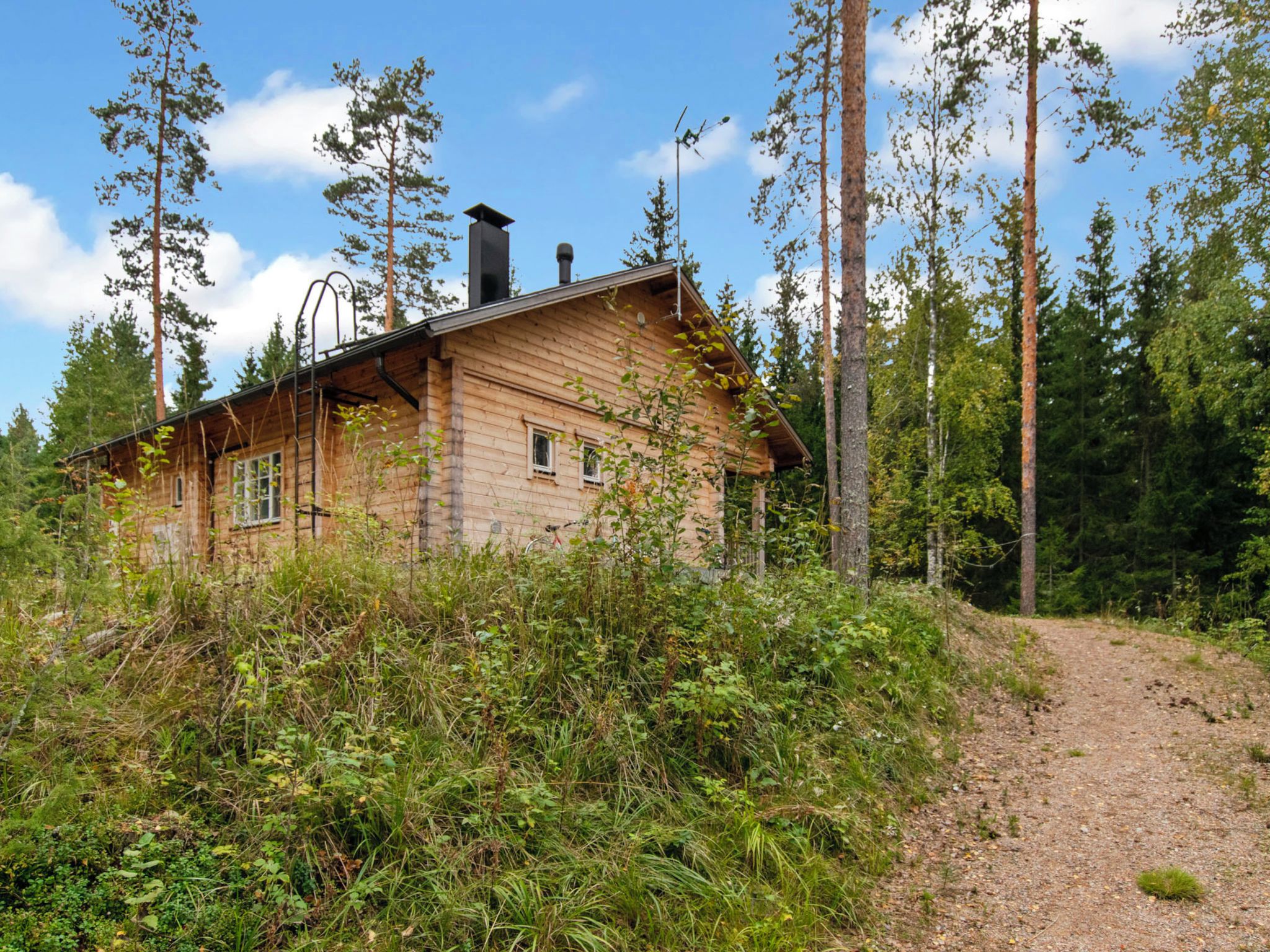 Tiheän metsän ympäröimä puinen mökki, jonka yläpuolella on kirkas taivas.