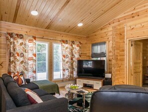 TV, fireplace, DVD player