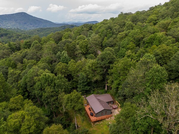 Eine Hütte, umgeben von dichtem Wald, mit einem Berg im Hintergrund.