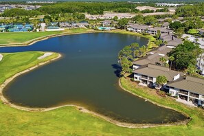 Exterior - Saddlebrook Resort Condo | Golf Views | King Suite | Resort Amenities (Wesley Chapel)