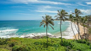 A beach with palm trees and ocean waves. - "Oceanfront Condo: Coconut Tree & Ocean Views, Whale Watching, Paddlers, and Surfers at Wailua Bay!" (Kapaa)
