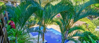 "Oceanfront Condo: Coconut Tree & Ocean Views, Whale Watching, Paddlers, and Surfers at Wailua Bay!"