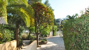 A stone pathway leading to a gated entrance, surrounded by lush greenery and a palm tree. - Porto di Mar by Interhome (Cavalaire)
