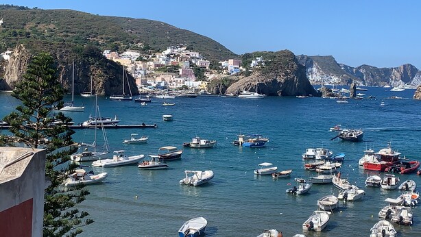 A coastal town with numerous boats docked in the marina.