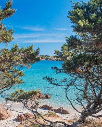 Sweet Home Mare 50 meters from the sea Isola Rossa <br>iun.gov.It/Q4486