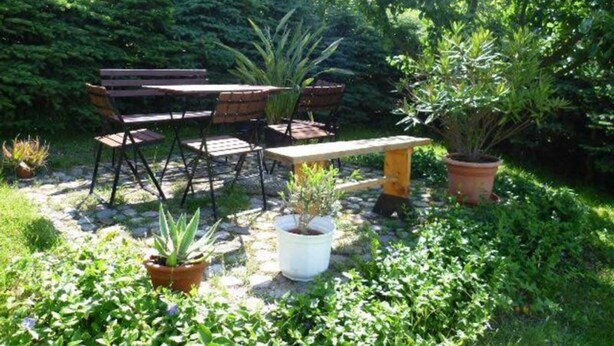 An outdoor seating area with a wooden table and chairs, surrounded by potted plants and greenery. - Vacation apartment in Seedorf - Holiday apartment Kontschack (Sellin)