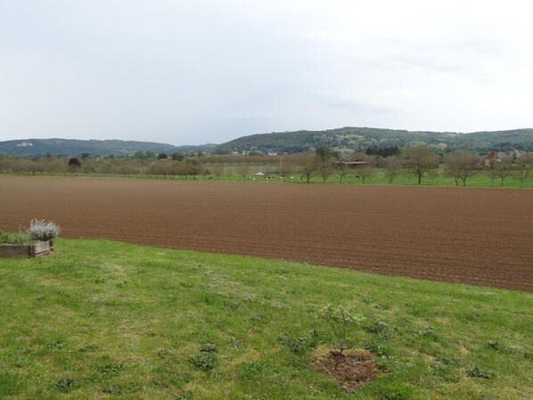 A rural landscape with a large open field, a small patch of grass, and distant hills.