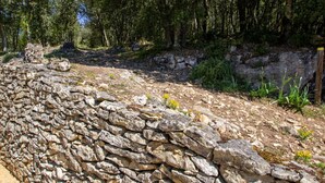 Eine Steinmauer mit einem Feldweg, der in einen bewaldeten Bereich führt.