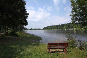 A bench by a lake with trees and a clear sky.