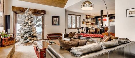 TV connectée, cheminée, chaîne hi-fi