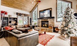 Smart TV, fireplace, stereo