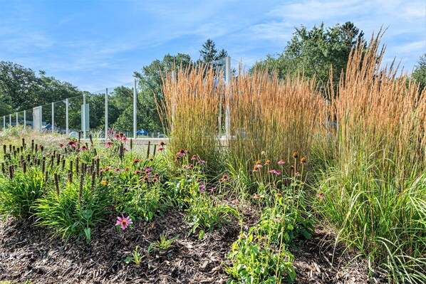 A garden with various plants and flowers, a fence, and trees in the background.