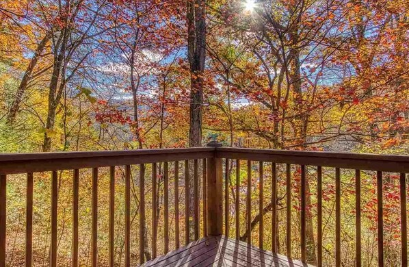 Une terrasse en bois offrant une vue sur le feuillage automnal.